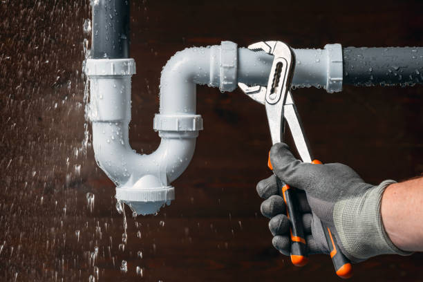 Professional Plumbing technician working in Lake City, IA